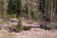 Along Highway 5, British Columbia, Canada CM11-06
