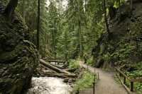 Margaret Falls, Salmon Arm, British Columbia CM11-013