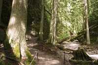 Margaret Falls, Salmon Arm, British Columbia CM11-015