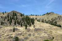 Midway, British Columbia, Canada CM11-22 