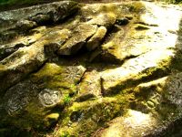 Thorsen Creek Valley Petroglyphs, British Columbia, Canada 12
