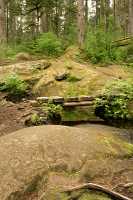 Thorsen Creek Petroglyphs, Bella Coola, British Columbia CM11-008