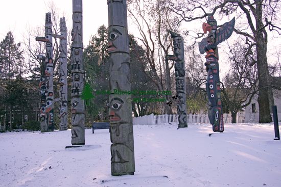 Thunderbird Park, Victoria, Vancouver Island, British Columbia, Canada CM11-04