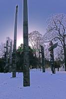 Highlight for Album: Thunderbird Park, Victoria, Vancouver Island, Canada, British Columbia Stock Photos