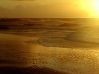 Tofino, Pacific Ocean, British Columbia, Canada 12