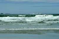 Tofino, Pacific Ocean, British Columbia, Canada CM1-11