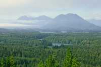 Tofino, Pacific Ocean, British Columbia, Canada CM11-14