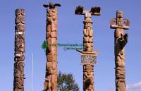 Highlight for Album: Totem Poles Photos - Gitanyow was formerly named Kitwancool. The band government changed its name from the Kitwancool Indian Band to the Gitanyow Indian Band in 1991.    New Aiyansh, Northern British Columbia, Canada, First Nation Stock Photos