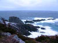 Twillingate, Atlantic Coast, Newfoundland, Canada 15