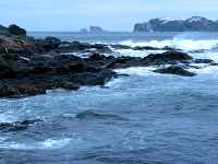 Twillingate, Atlantic Coast, Newfoundland, Canada 14