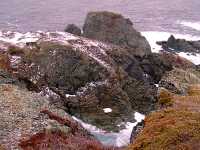 Twillingate, Atlantic Coast, Newfoundland, Canada 13