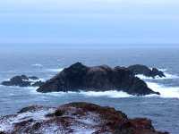 Twillingate, Atlantic Coast, Newfoundland, Canada 10