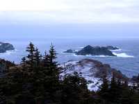 Twillingate, Atlantic Coast, Newfoundland, Canada 09