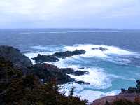 Twillingate, Atlantic Coast, Newfoundland, Canada 06