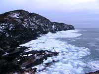 Twillingate, Atlantic Coast, Newfoundland, Canada 04