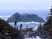 Twillingate, Atlantic Coast, Newfoundland, Canada 16