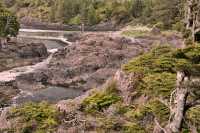 Wild Pacific Trail, Ucluelet, Vancouver Island CM11-012