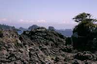 Wild Pacific Trail, Ucluelet, Vancouver Island CM11-002
