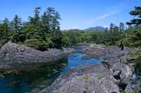 Wild Pacific Trail, Ucluelet, Vancouver Island CM11-004