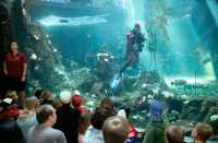 Vancouver Aquarium 2009, Stanley Park, Vancouver, British Columbia CM11-02