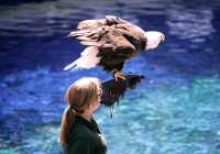Vancouver Aquarium 2009, Stanley Park, Vancouver, British Columbia CM11-07