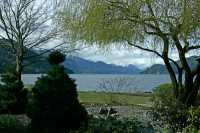 Harrison Lake, British Columbia, Canada CM11-07