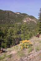 Princeton Region, British Columbia, Canada  CMX-001