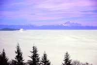 Vancouver, Lower Mainland, British Columbia, Canada CM11-11