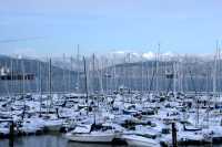 Royal Vancouver Yaucht Club, Point Grey, December 2008, British Columbia, Canada CM11-23