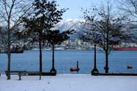 Vancouver, Coal Harbour, December 2008, British Columbia, Canada CM11-40