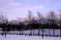 Vancouver, Coal Harbour, December 2008, British Columbia, Canada CM11-49