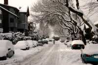 Vancouver, Kitsilano, December 2008, British Columbia, Canada CM11-14
