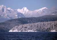 Vancouver, Lighthouse Park, December 2008, British Columbia, Canada CM11-18