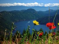 Malahat, Coastal Fjord, British Columbia, Canada  08