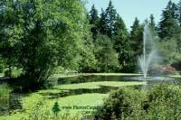 Highlight for Album: Vandusen Gardens Photos, 2009, Vancouver, British Columbia Stock Photos