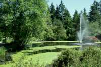 Vandusen Gardens, Vancouver, British Columbia CM11-05