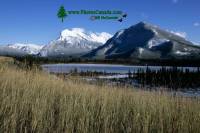 Highlight for Album: Vermillion Lakes Photos 2009, Banff National Park, Alberta, Banff National Park Stock Photos