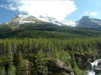 Blakiston Falls, Waterton Lakes National Park, Alberta, Canada 13