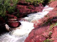 Red Rock Canyon, Waterton Lakes National Park, Alberta, Canada 15