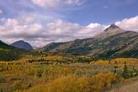 Waterton Lakes National Park, Fall 2010, Alberta, Canada CM11-007
