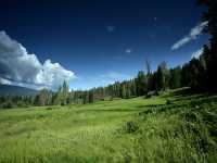Ray Farm, Wells Gray Park, British Columbia, Canada CM11-02