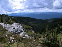 Wells Gray Park, Trophy Mountain Wildflowers, British Columbia, Canada CM11-06