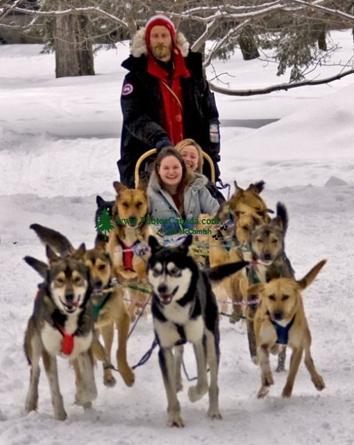Dogsledding CM11-08