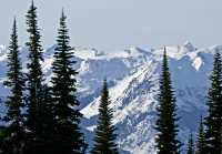 Whistler Views, British Columbia, Canada Cm-11-021