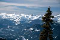 Whistler Views, British Columbia, Canada Cm-11-028