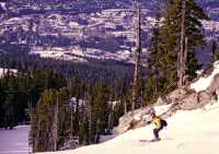 Whistler, Rock and Roll Trail,  British Columbia, Canada CM11-007