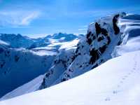 Whistler, First Tracks, British Columbia, Canada 23