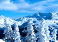 Whistler, British Columbia, Canada 32