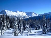 Whistler, British Columbia, Canada 19