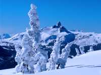Whistler, Black Tusk, British Columbia, Canada 18